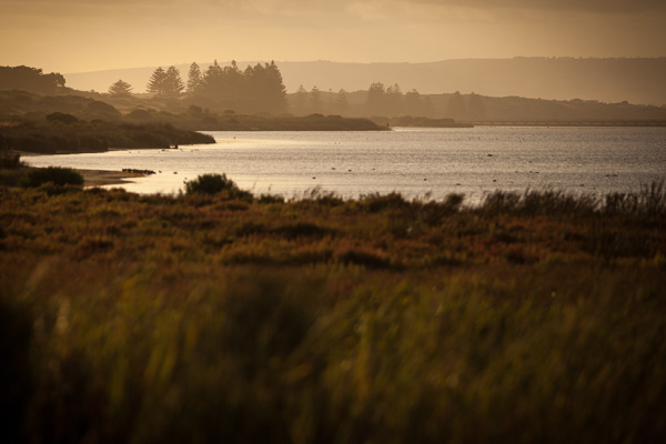 Corrong National Park, VIC